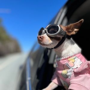 Meet your Posher, Adèle